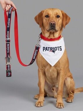 LMT: NFL Patriots Pet Bundle of 2